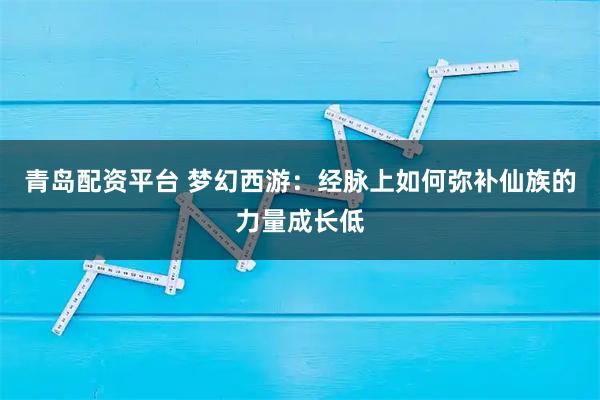 青岛配资平台 梦幻西游：经脉上如何弥补仙族的力量成长低