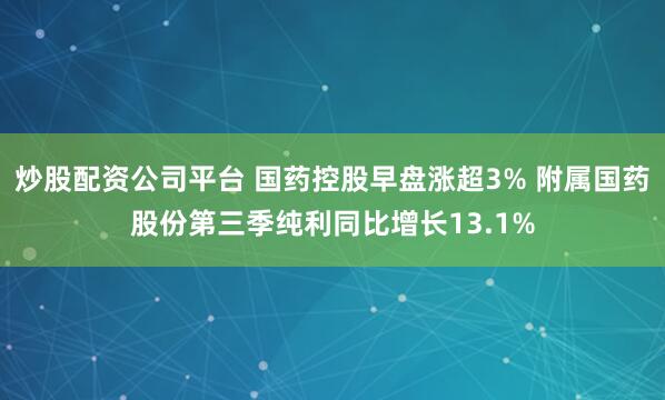 炒股配资公司平台 国药控股早盘涨超3% 附属国药股份第三季纯利同比增长13.1%