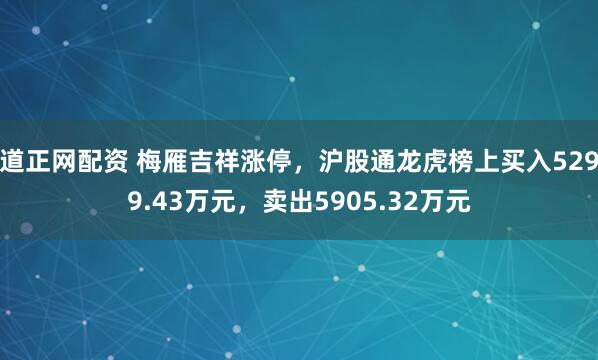 道正网配资 梅雁吉祥涨停，沪股通龙虎榜上买入5299.43万元，卖出5905.32万元