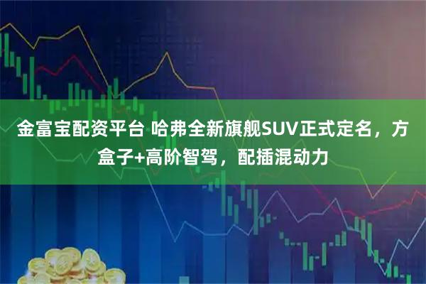 金富宝配资平台 哈弗全新旗舰SUV正式定名，方盒子+高阶智驾，配插混动力