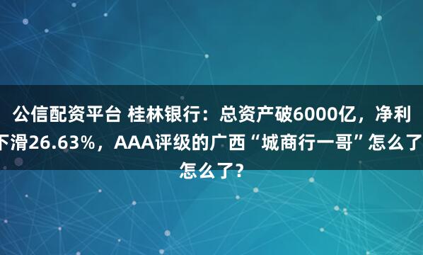 公信配资平台 桂林银行：总资产破6000亿，净利下滑26.63%，AAA评级的广西“城商行一哥”怎么了？